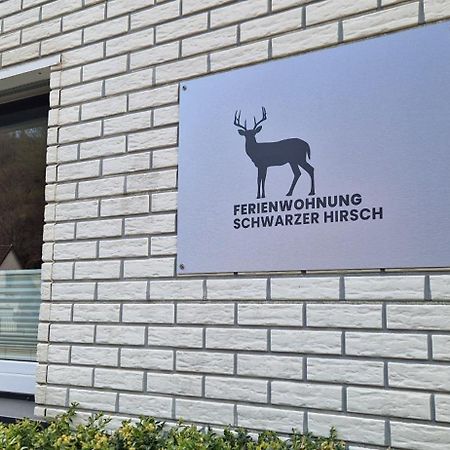 Ferienwohnung Schwarzer Hirsch Wieda Dış mekan fotoğraf