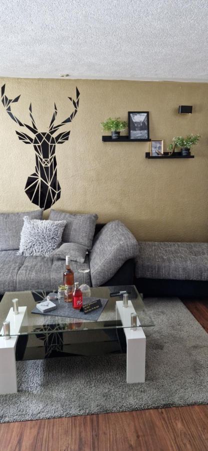 Ferienwohnung Schwarzer Hirsch Wieda Dış mekan fotoğraf