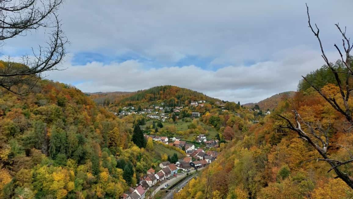 Ferienwohnung Schwarzer Hirsch Wieda Dış mekan fotoğraf
