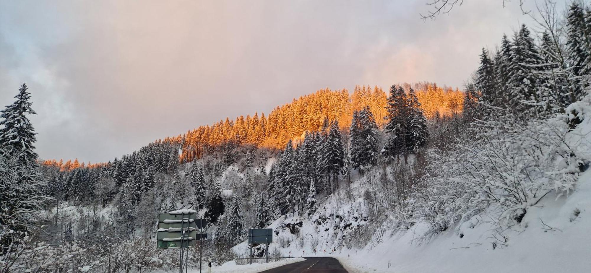 Ferienwohnung Schwarzer Hirsch Wieda Dış mekan fotoğraf